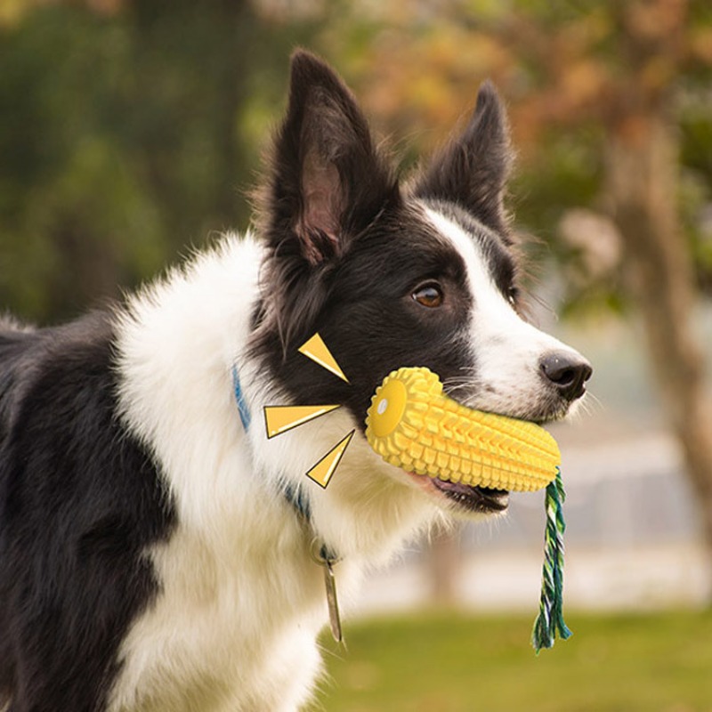 Gıcırtılı Mısır Köpeği Diş Fır - Corn Dog Stick incelemesi ve fiyatı