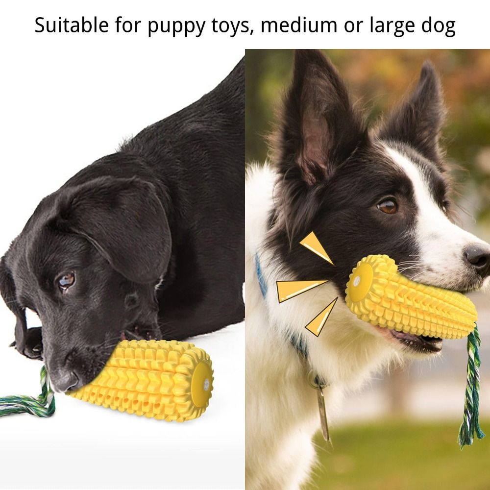 Sağlam Kauçuk Köpek Çiğneme Mı - Corn Dog Stick incelemesi ve fiyatı