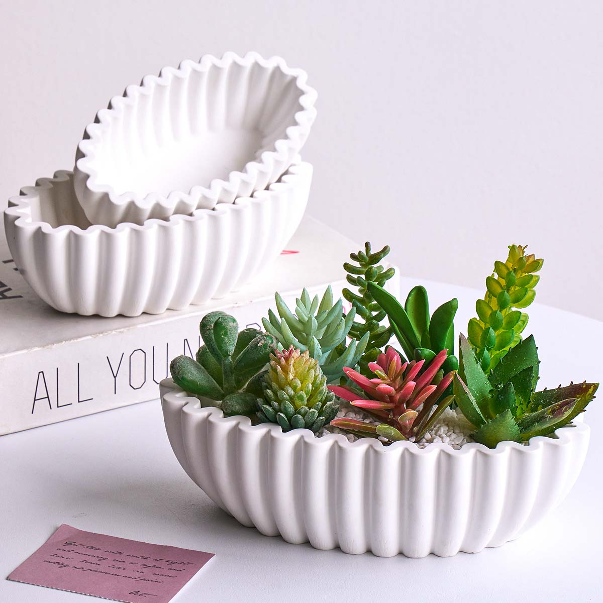 S/M/L Oval Çizgili Saklama Kab - Potsticker Mold incelemesi ve fiyatı